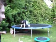 Funny Spring Loaded & Trampoline Fails