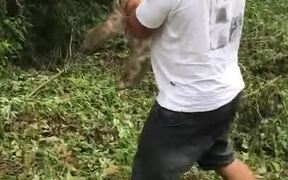 Helping a Sloth Cross the Road - Animals - VIDEOTIME.COM