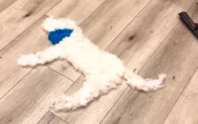 Blue Eared Dog Gets Brushed Away - Animals - VIDEOTIME.COM