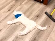 Blue Eared Dog Gets Brushed Away