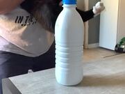 Bottle Cap with Cat