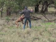 Man Punches a Kangaroo