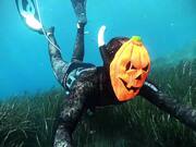 A Special Halloween Dive