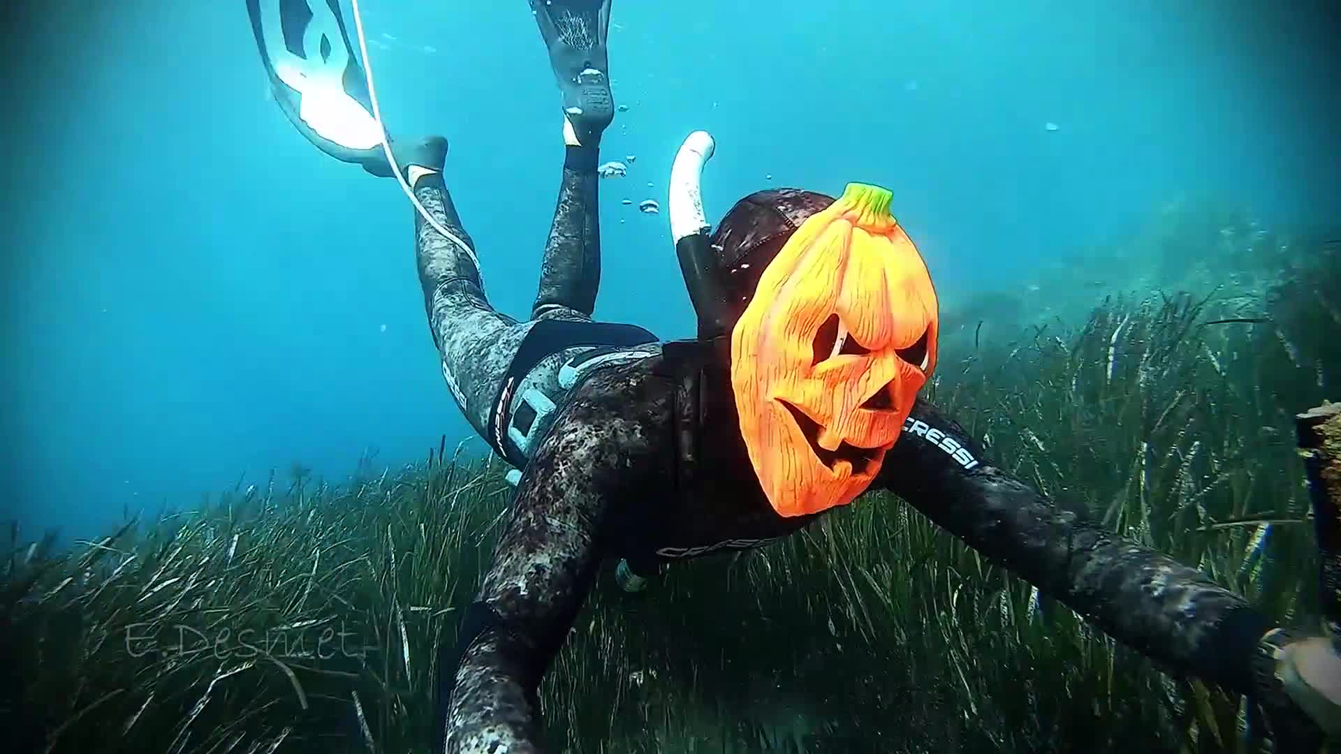 A Special Halloween Dive