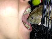 Pet Rat Cleans Owners Teeth