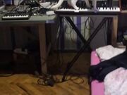Cat Playing Horrifying Music on Synthesizer