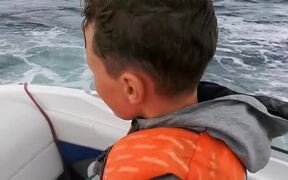 Whales Breaches Near Boat in Harbour - Animals - VIDEOTIME.COM