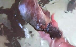 Friendly Baby Platypus - Animals - VIDEOTIME.COM