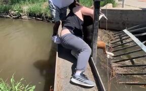 Man Saves Dog Stuck in Sewer Grate - Animals - VIDEOTIME.COM