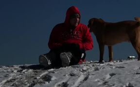 When the Dog Wants a Turn on the Sled - Animals - VIDEOTIME.COM