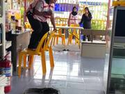Monitor Lizard Traps Woman on Chairs
