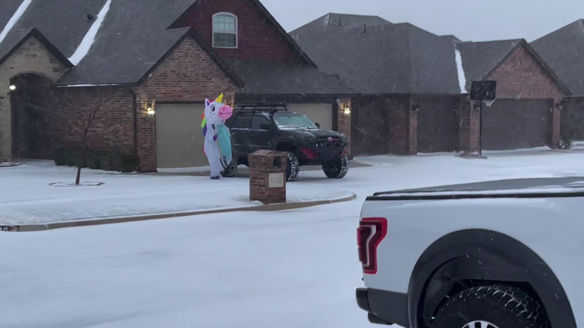 Unicorn Spotted Shoveling Snow