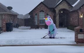 Unicorn Spotted Shoveling Snow - Fun - VIDEOTIME.COM