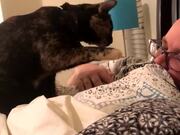 Kitty Alarm Clock Wakes Its Human up With a Boop