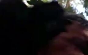My Dad was Attacked by a Monkey - Animals - VIDEOTIME.COM