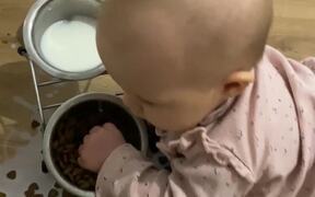 Baby Finds Cat's Food Bowl - Kids - VIDEOTIME.COM
