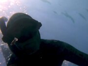 Free Diver Doing Training Finds Tiny Animal