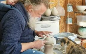 Cat Plays With Pottery Wheel - Animals - VIDEOTIME.COM