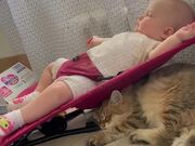Bouncing Baby Bonks Cat's Head Repeatedly