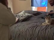 Parents Surprise Daughter With Husky Puppy