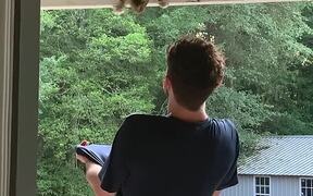 Guy Uses His Shirt to Help a Stuck Kitten - Animals - VIDEOTIME.COM