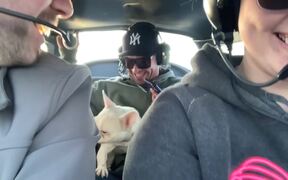 Dog Experiences Zero Gravity Flight - Animals - VIDEOTIME.COM
