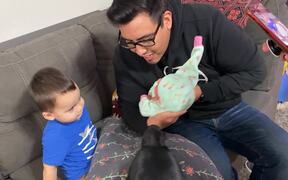 Brother Meets New Baby Sister - Kids - VIDEOTIME.COM
