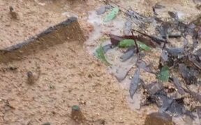 Rain Creates Tiny Canyon - Fun - VIDEOTIME.COM