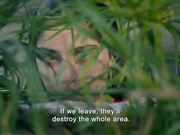 Costa Brava, Lebanon Trailer