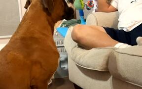 Grandpa Teaches Cain to Say I Love You - Animals - VIDEOTIME.COM