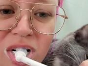 Kitten Bites on Electric Toothbrush