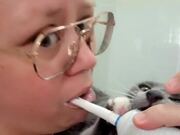 Kitten Bites on Electric Toothbrush