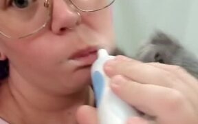 Kitten Bites on Electric Toothbrush - Animals - VIDEOTIME.COM