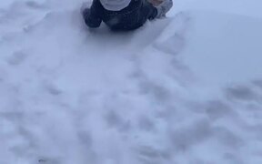 Pup Takes Little Tyke Down Snowy Slope - Animals - VIDEOTIME.COM