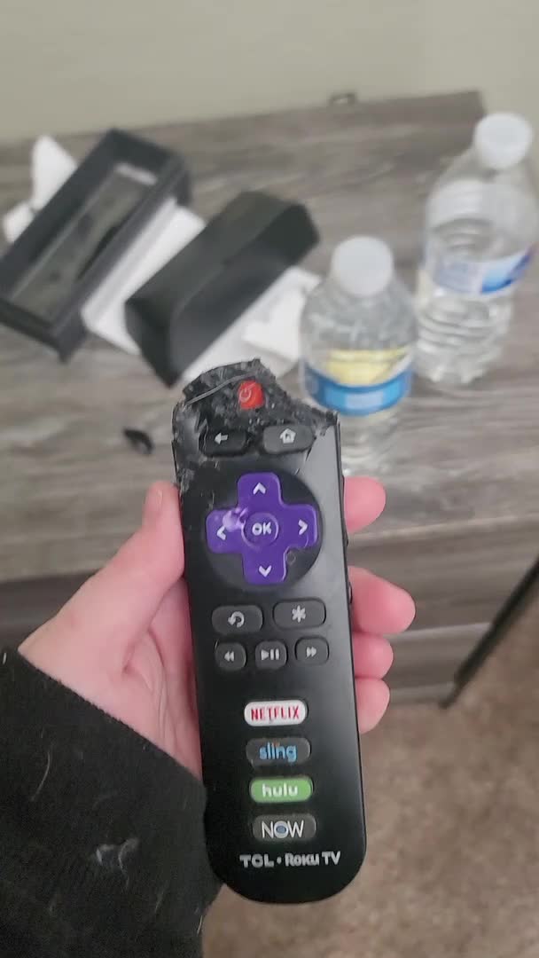 Confronting the Dog Over Chewed Up Remote