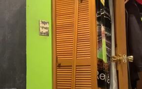 Closet Can't Keep Out Cat - Animals - VIDEOTIME.COM