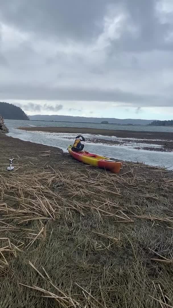 Pup Patiently Waits for Water Adventure