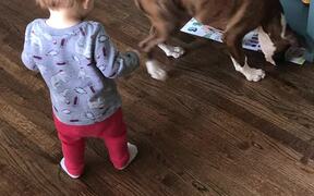 A Boy and A Dog - Animals - VIDEOTIME.COM