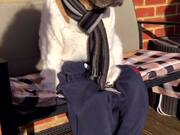 Adorable Dressed Up Dog on a Bench