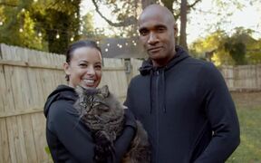 Cat Daddies Trailer - Movie trailer - VIDEOTIME.COM