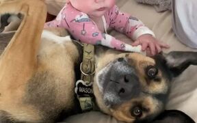 8-Month-Old and Dog Cuddle in Bed and Wake up Dad - Animals - VIDEOTIME.COM