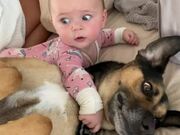 8-Month-Old and Dog Cuddle in Bed and Wake up Dad