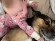 8-Month-Old and Dog Cuddle in Bed and Wake up Dad