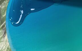 Artist Creates STELLAR Ocean-Inspired Artwork - Fun - VIDEOTIME.COM