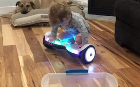 Hoverboards Aren't For Toddlers - Kids - VIDEOTIME.COM