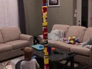 Pushing A Lego Tower Isn't As Simple As It Seems