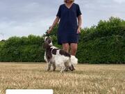 Woman Performs Slalom Tricks With 2 Dogs