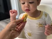 Toddler Pretends to Eat Bread and Enjoy it