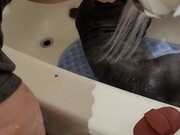 Dog Playfully Rolls in Bathtub