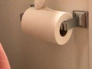Cat Rearranges Toilet Paper Roll in Bathroom